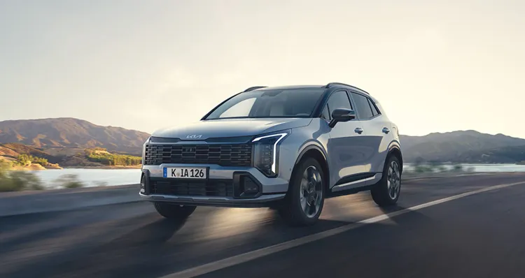 Frame 1000004719.webp