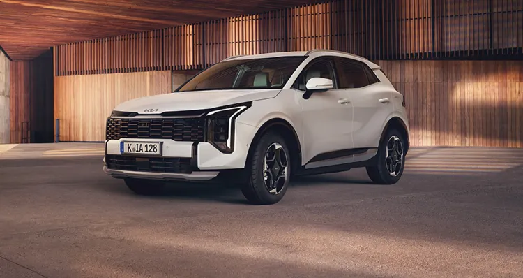 Frame 1000004720.webp