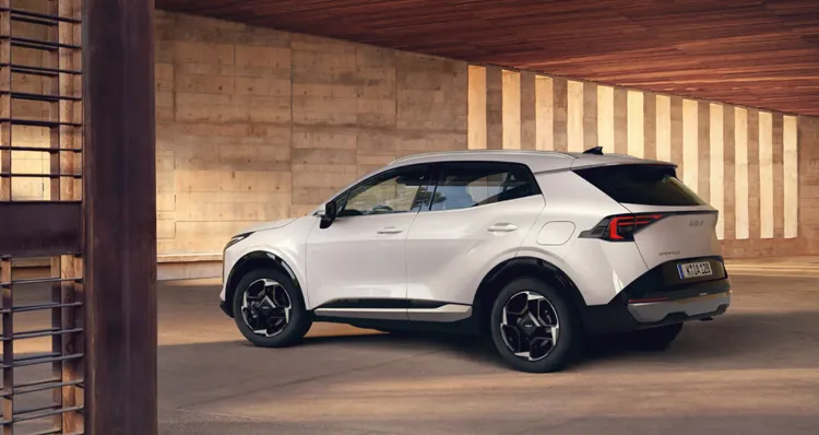 Frame 1000004721.webp